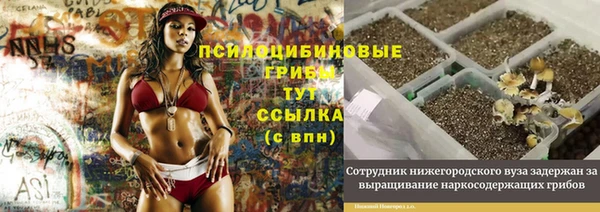 эйфоретик Алексеевка