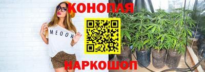 крисы Балахна