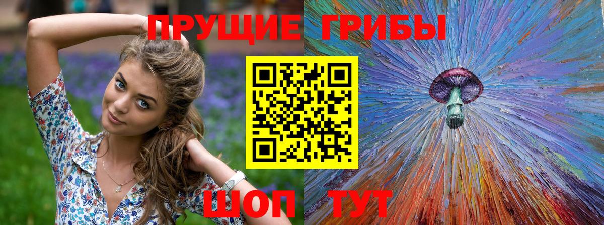 Псилоцибиновые грибы GOLDEN TEACHER  Аша 