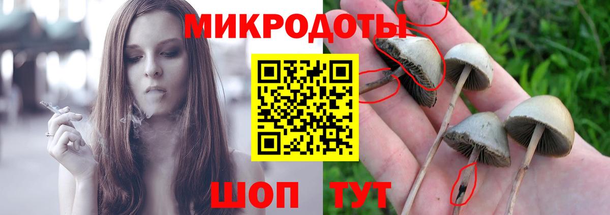 Аша  Псилоцибиновые грибы ЛСД  Вход с VPN 