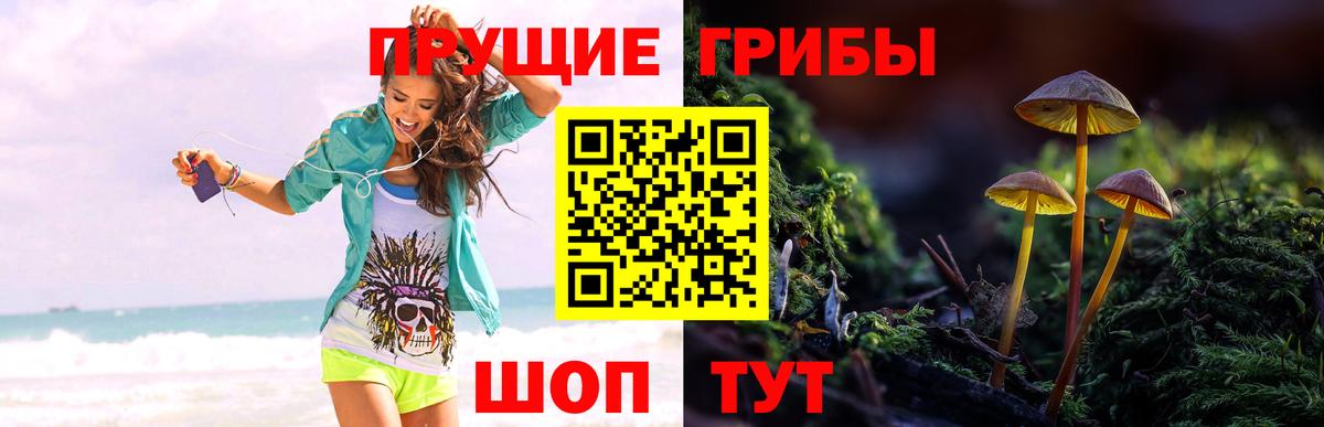 Галлюциногенные грибы Magic Shrooms Аша